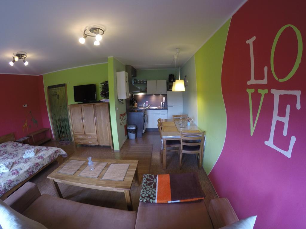 Studio Krušné Hory Klínovec Loučná pod Klínovcem Quarto foto